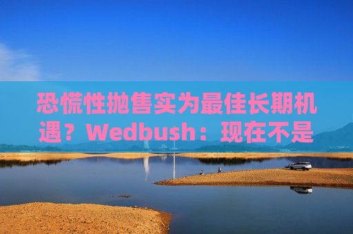 恐慌性抛售实为最佳长期机遇？Wedbush：现在不是恐慌的时候，科技股浪潮或仍持续