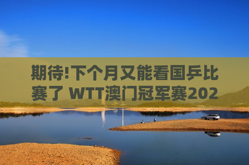 期待!下个月又能看国乒比赛了 WTT澳门冠军赛2024首批参赛名单揭晓  第1张