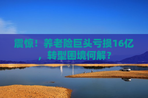 震惊!养老险巨头亏损16亿,转型困境何解? 第1张 震惊!养老险巨头亏损16亿,转型困境何解? 第1张