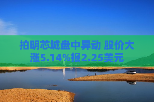 拍明芯城盘中异动 股价大涨5.14%报2.25美元