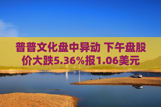 普普文化盘中异动 下午盘股价大跌5.36%报1.06美元