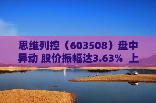 思维列控（603508）盘中异动 股价振幅达3.63%  上涨6.86%（08-19） 第1张