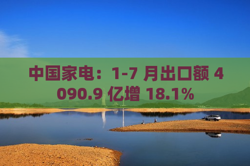 中国家电：1-7 月出口额 4090.9 亿增 18.1%  第1张