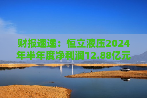 财报速递:恒立液压2024年半年度净利润12.88亿元 第1张 财报速递:恒立液压2024年半年度净利润12.88亿元 第1张