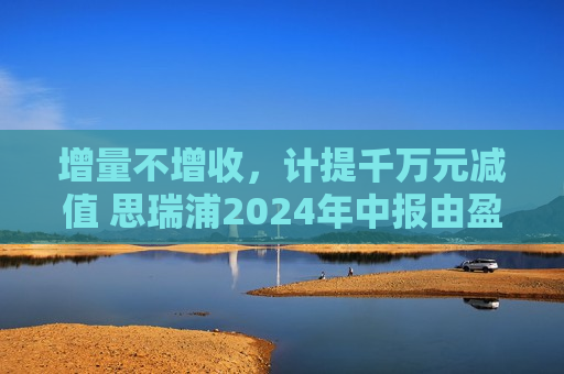 增量不增收，计提千万元减值 思瑞浦2024年中报由盈转亏