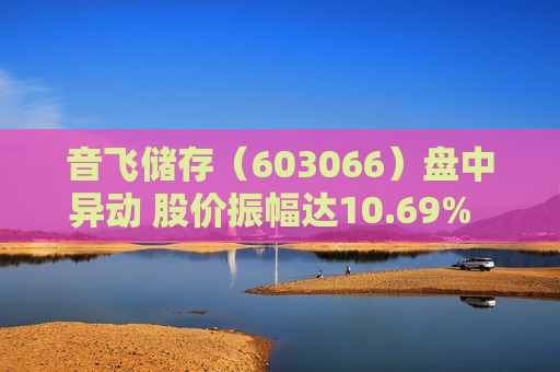 音飞储存（603066）盘中异动 股价振幅达10.69%  上涨6.14%（08-21）