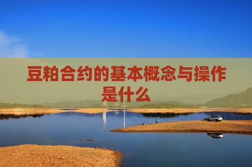 豆粕合约的基本概念与操作是什么
