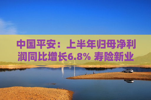 中国平安：上半年归母净利润同比增长6.8% 寿险新业务价值同比增长11.0%