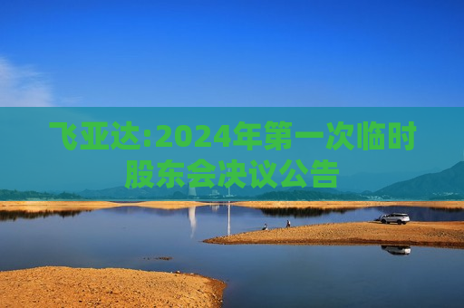 飞亚达:2024年第一次临时股东会决议公告