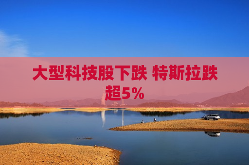 大型科技股下跌 特斯拉跌超5%