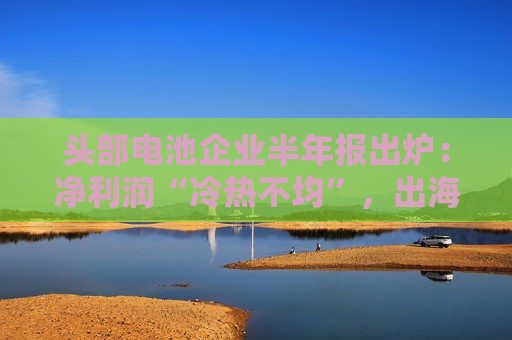 头部电池企业半年报出炉：净利润“冷热不均”，出海、储能业务成为布局重点