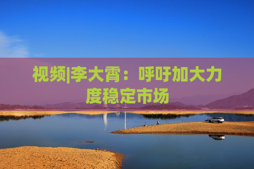视频|李大霄：呼吁加大力度稳定市场