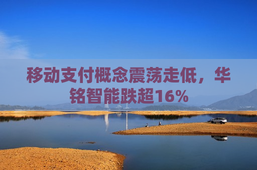 移动支付概念震荡走低，华铭智能跌超16%