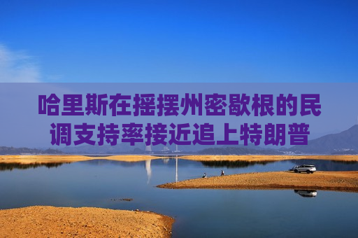 哈里斯在摇摆州密歇根的民调支持率接近追上特朗普