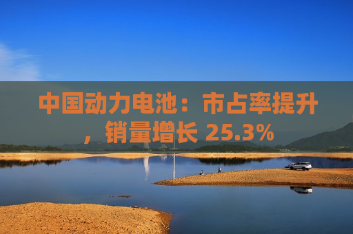 中国动力电池：市占率提升，销量增长 25.3%  第1张
