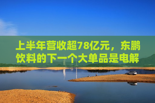 上半年营收超78亿元,东鹏饮料的下一个大单品是电解质水? 第1张 上半年营收超78亿元,东鹏饮料的下一个大单品是电解质水? 第1张