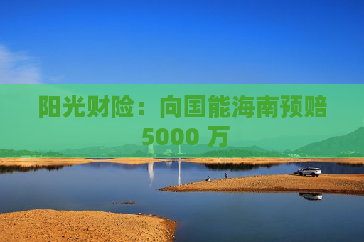 阳光财险：向国能海南预赔 5000 万