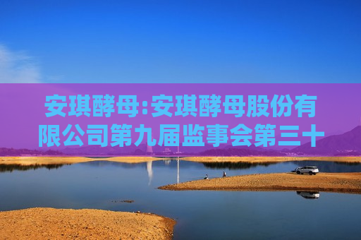 安琪酵母:安琪酵母股份有限公司第九届监事会第三十四次会议决议公告  第1张
