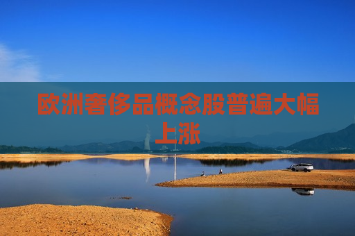 欧洲奢侈品概念股普遍大幅上涨  第1张