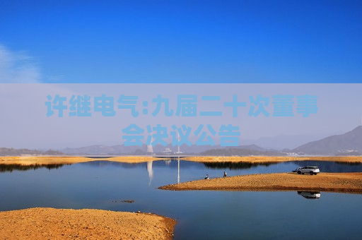 许继电气:九届二十次董事会决议公告 第1张 许继电气:九届二十次董事会决议公告 第1张