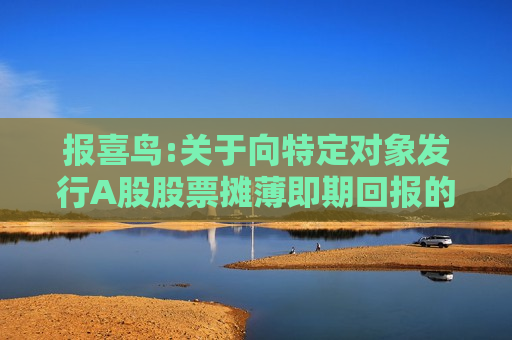 报喜鸟:关于向特定对象发行A股股票摊薄即期回报的风险提示及填补措施和相关承诺的公告 第1张 报喜鸟:关于向特定对象发行A股股票摊薄即期回报的风险提示及填补措施和相关承诺的公告 第1张