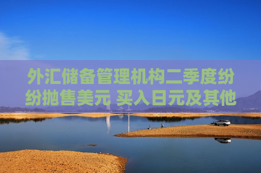 外汇储备管理机构二季度纷纷抛售美元 买入日元及其他货币  第1张