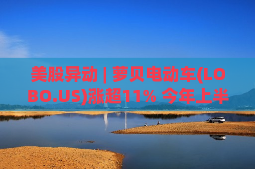 美股异动 | 萝贝电动车(LOBO.US)涨超11% 今年上半年营业收入增长49%