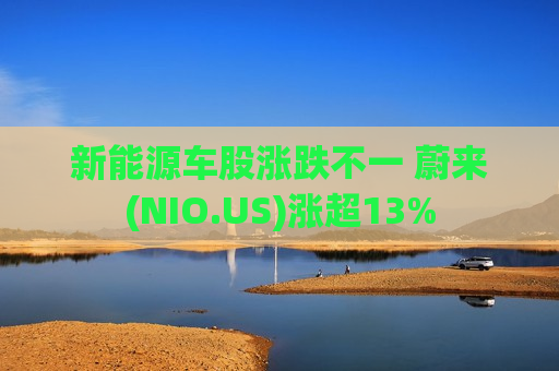 新能源车股涨跌不一 蔚来(NIO.US)涨超13%