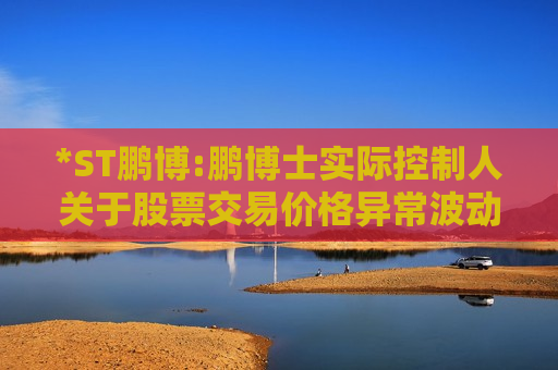 *ST鹏博:鹏博士实际控制人关于股票交易价格异常波动的问询函的回复