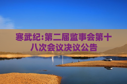 寒武纪:第二届监事会第十八次会议决议公告