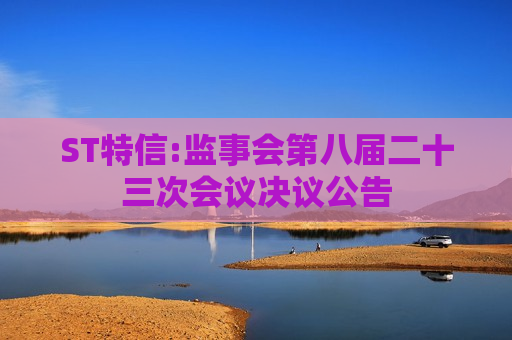 ST特信:监事会第八届二十三次会议决议公告 第1张 ST特信:监事会第八届二十三次会议决议公告 第1张