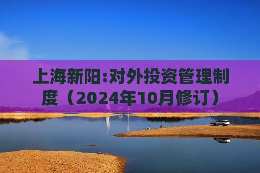 上海新阳:对外投资管理制度（2024年10月修订）