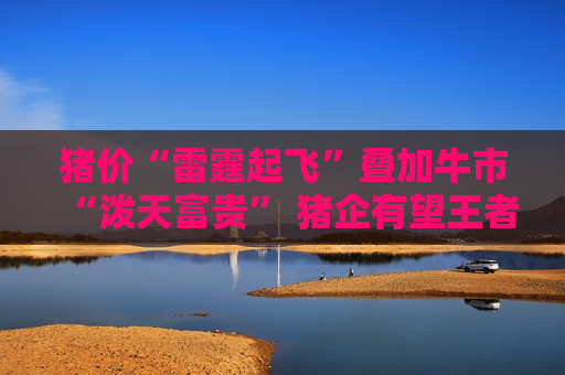 猪价“雷霆起飞”叠加牛市“泼天富贵” 猪企有望王者再临