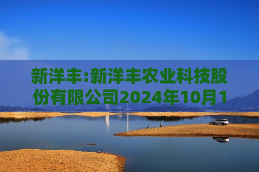 新洋丰:新洋丰农业科技股份有限公司2024年10月17日投资者关系活动记录表  第1张