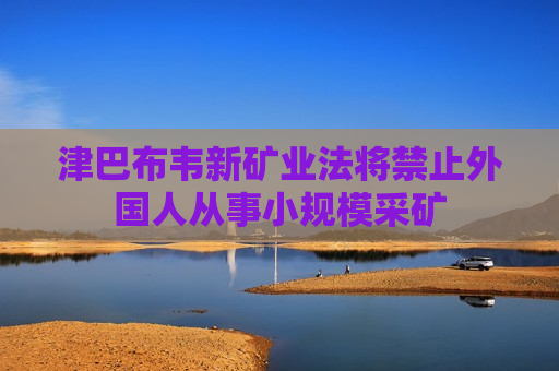 津巴布韦新矿业法将禁止外国人从事小规模采矿