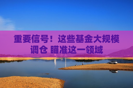 重要信号!这些基金大规模调仓 瞄准这一领域 第1张 重要信号!这些基金大规模调仓 瞄准这一领域 第1张