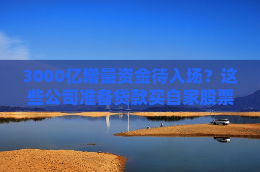 3000亿增量资金待入场？这些公司准备贷款买自家股票