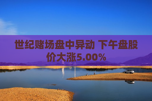 世纪赌场盘中异动 下午盘股价大涨5.00%