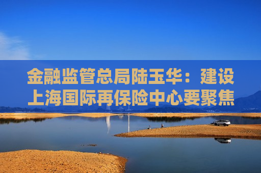 金融监管总局陆玉华：建设上海国际再保险中心要聚焦“三个力”  第1张
