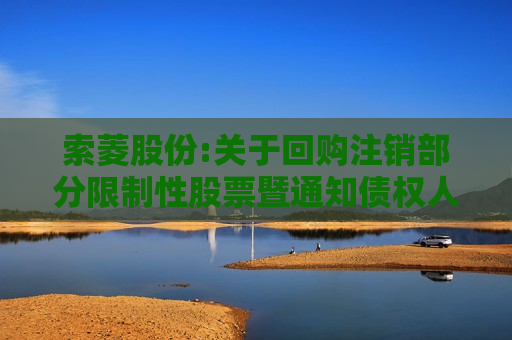 索菱股份:关于回购注销部分限制性股票暨通知债权人的公告