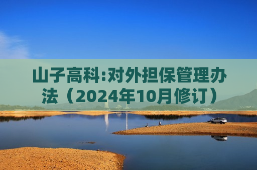 山子高科:对外担保管理办法(2024年10月修订) 第1张 山子高科:对外担保管理办法(2024年10月修订) 第1张