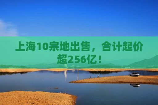 上海10宗地出售，合计起价超256亿！