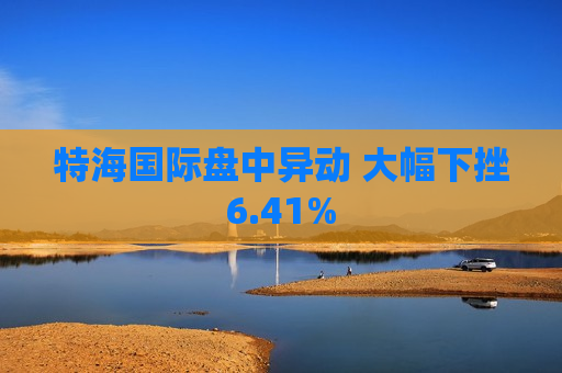 特海国际盘中异动 大幅下挫6.41%