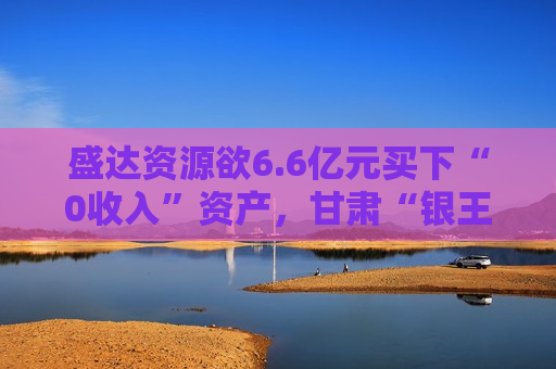 盛达资源欲6.6亿元买下“0收入”资产,甘肃“银王”赵满堂再现资本运作! 第1张 盛达资源欲6.6亿元买下“0收入”资产,甘肃“银王”赵满堂再现资本运作! 第1张
