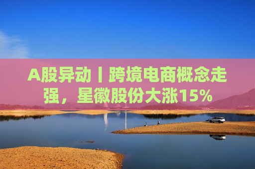 A股异动丨跨境电商概念走强，星徽股份大涨15%