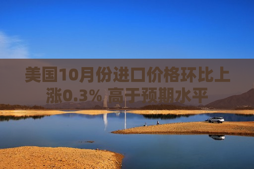 美国10月份进口价格环比上涨0.3% 高于预期水平