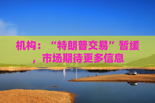 机构：“特朗普交易”暂缓，市场期待更多信息  第1张