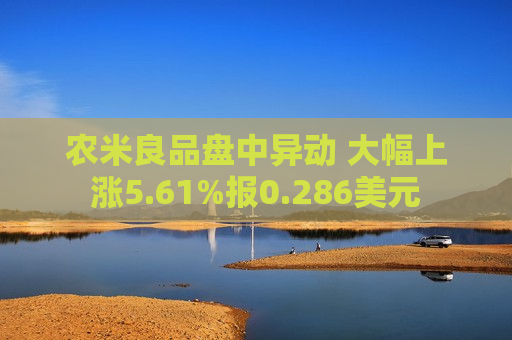 农米良品盘中异动 大幅上涨5.61%报0.286美元  第1张