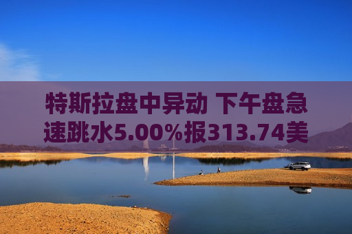特斯拉盘中异动 下午盘急速跳水5.00%报313.74美元 第1张 特斯拉盘中异动 下午盘急速跳水5.00%报313.74美元 第1张