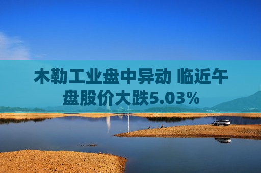 木勒工业盘中异动 临近午盘股价大跌5.03%  第1张